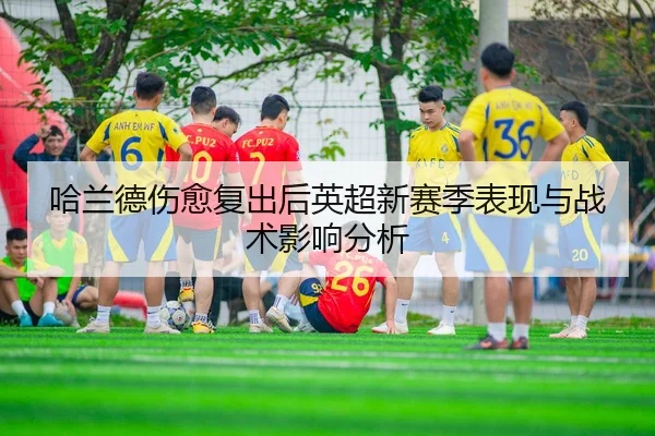 ha-lan-de-shang-yu-fu-chu-hou-ying-chao-xin-sai-ji-biao-xian-yu-zhan-shu-ying-xiang-fen-xi-2-732.jpg